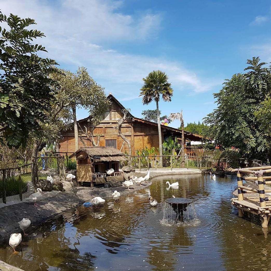 14701198_333297097048245_1883814785359806464_n 14701198_333297097048245_1883814785359806464_n