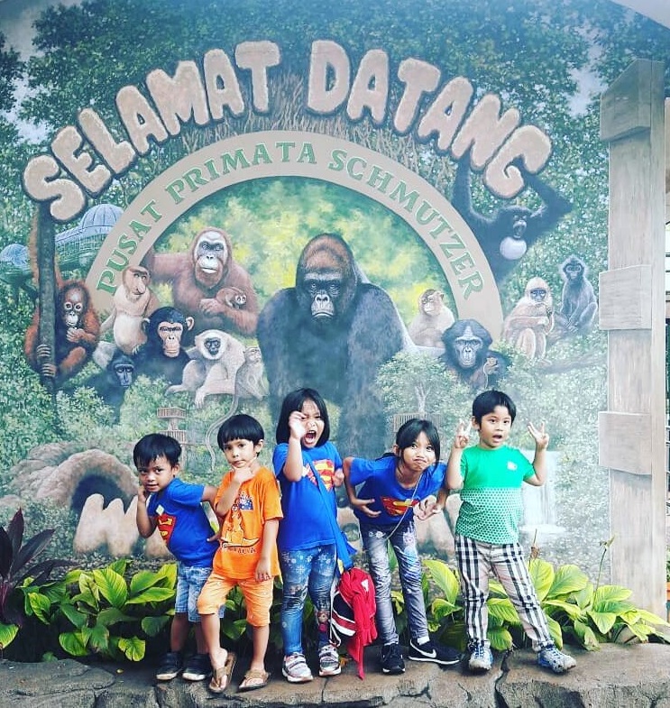 Harga Tiket Masuk Ragunan Harga Tiket Masuk Ragunan