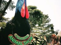 Harga Tiket Masuk Faunaland Terbaru 200x150 Harga Tiket Masuk Faunaland Terbaru 200x150