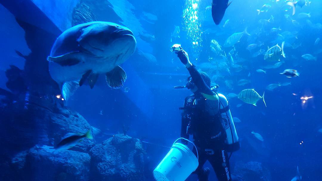 Snorkling Jakarta Snorkling Jakarta