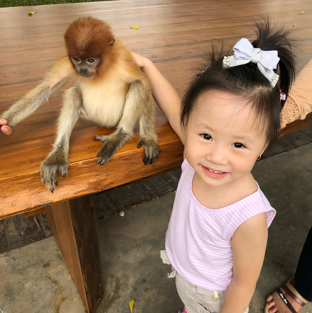 Tempat Belajar Hewan Jakarta Tempat Belajar Hewan Jakarta