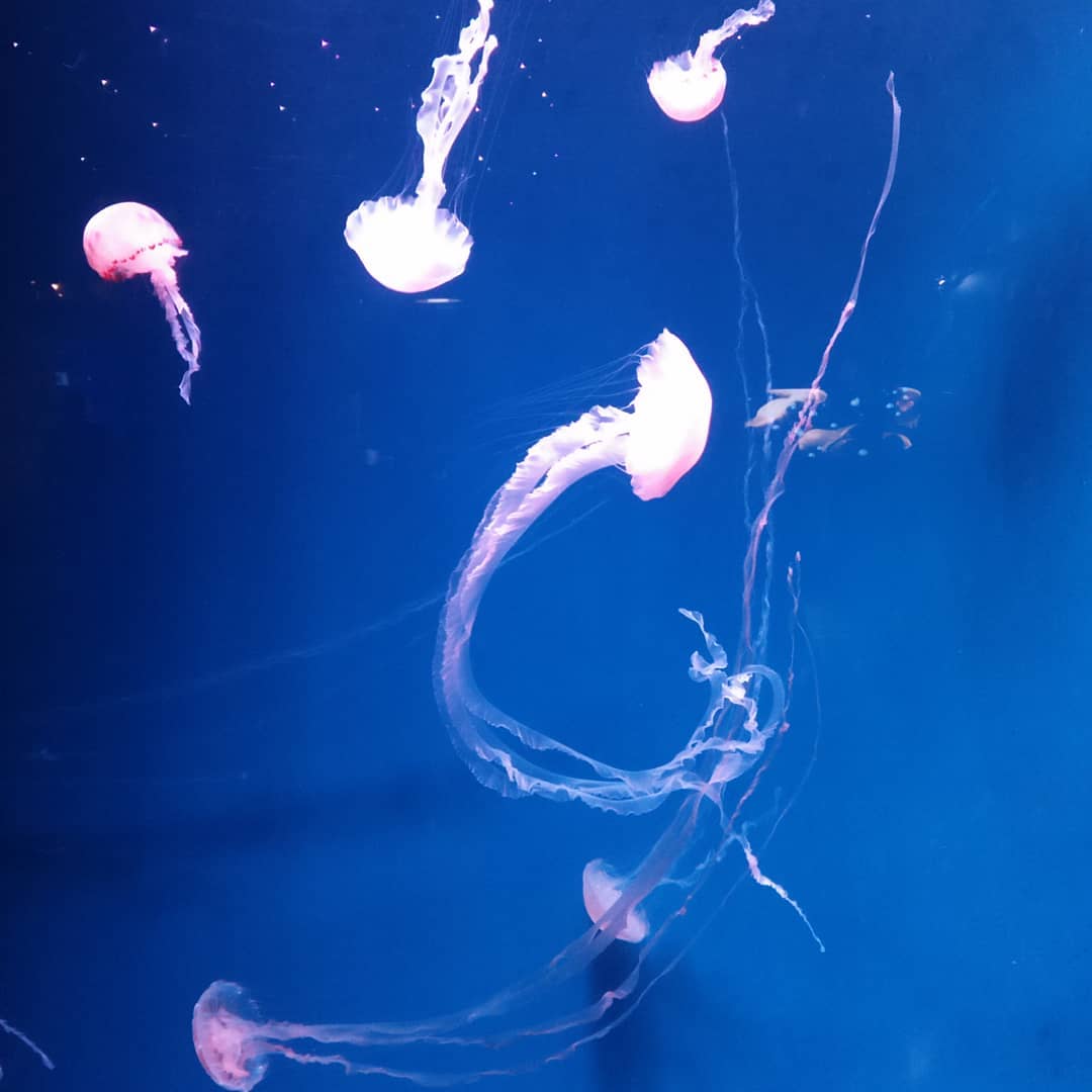 Wisata Hits Jakarta Wisata Hits Jakarta