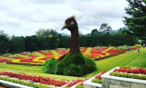 harga tiket masuk taman bunga nusantara