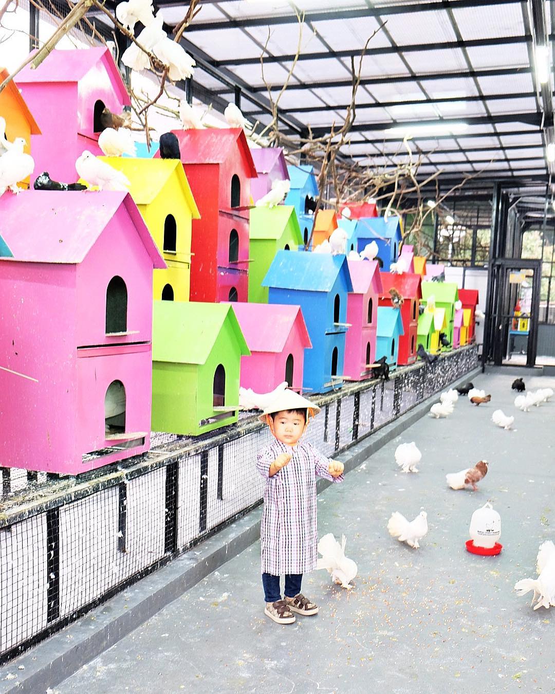 Wahana Rabbit Town Bandung Wahana Rabbit Town Bandung