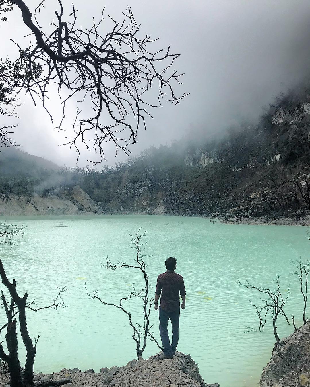 Kawah Putih Kawah Putih