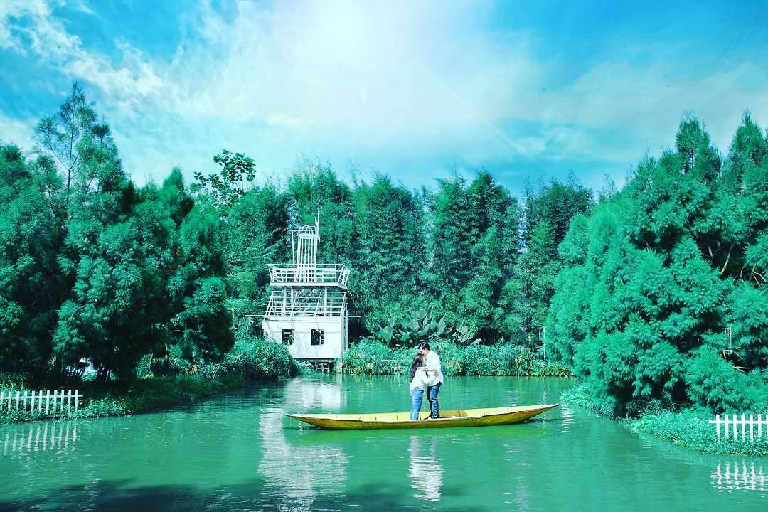 Kampoeng Tulip Kampoeng Tulip