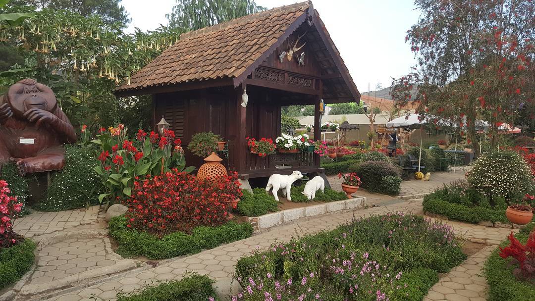 Kebun Bunga Begonia Lembang Kebun Bunga Begonia Lembang