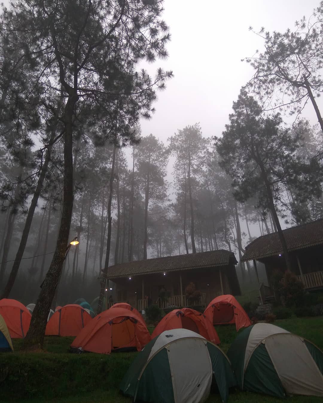 Tempat Camping Gunung Ungaran Tempat Camping Gunung Ungaran