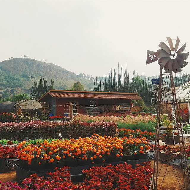 argowisata Bandung argowisata Bandung