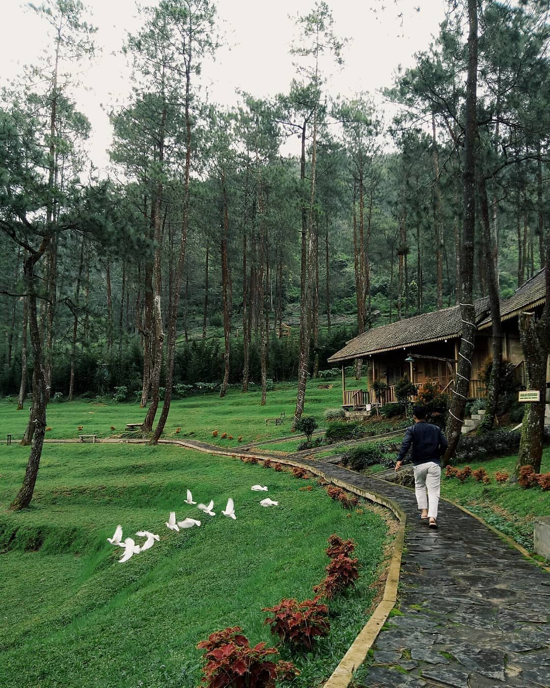 rekreasi Lereng Gunung Ungaran rekreasi Lereng Gunung Ungaran
