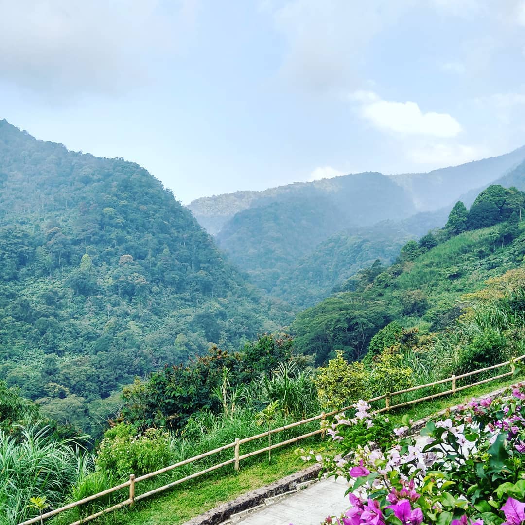 Pemandangan Di Istana Panda Pemandangan Di Istana Panda