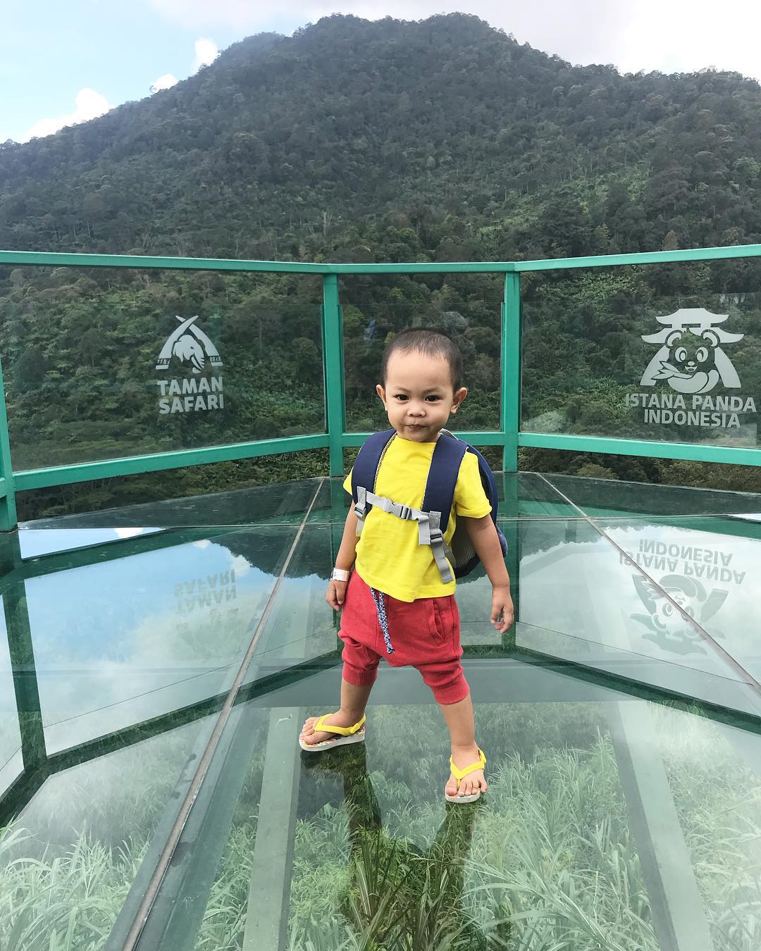 Spot foto Keren Istana Bogor Spot foto Keren Istana Bogor