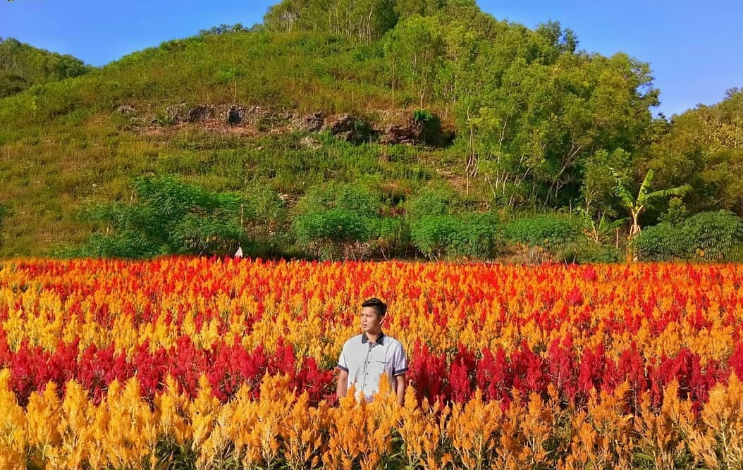 wisata baru Jogja wisata baru Jogja