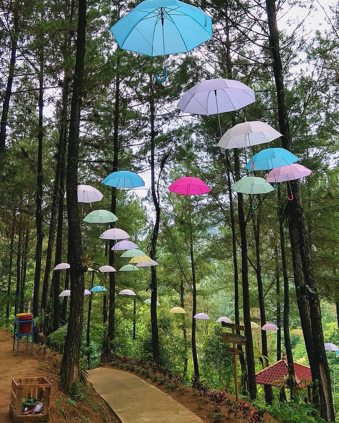 Air Terjun Putri Maron Air Terjun Putri Maron