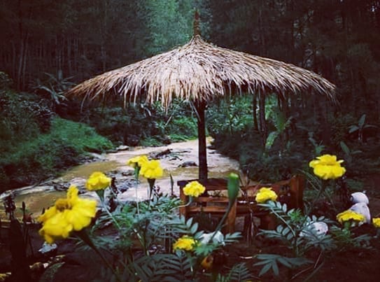 Putri Maron Trenggalek Putri Maron Trenggalek