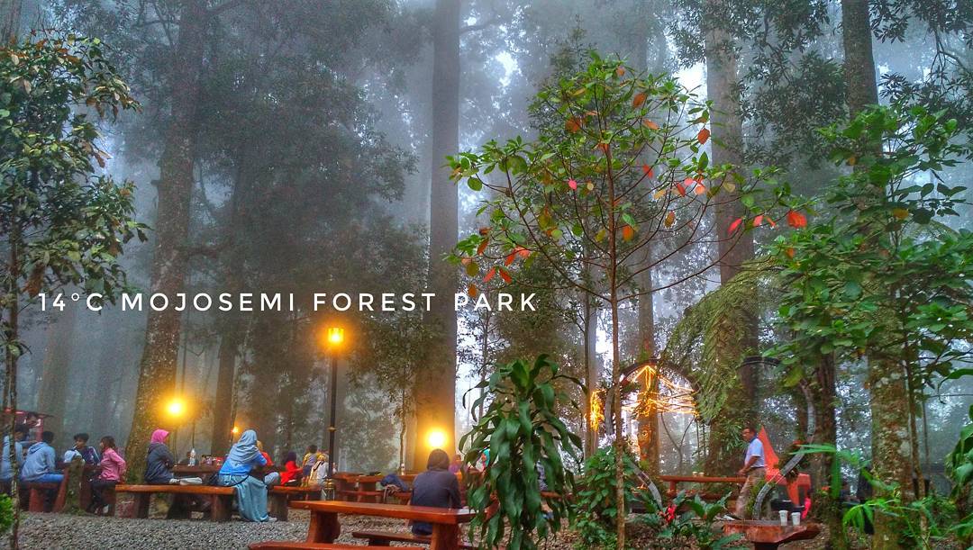 Agrowisata Mojosemi Magetan Agrowisata Mojosemi Magetan