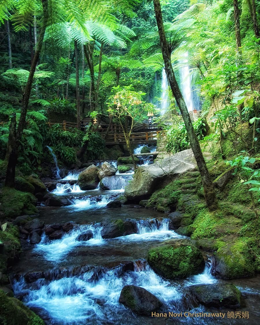 Air Terjun Jumog Karangannyar Air Terjun Jumog Karangannyar