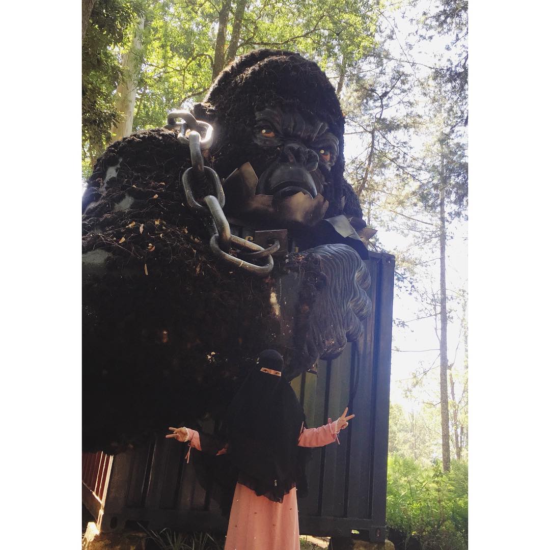 Spot Foto Mojosemi Forest Park Spot Foto Mojosemi Forest Park