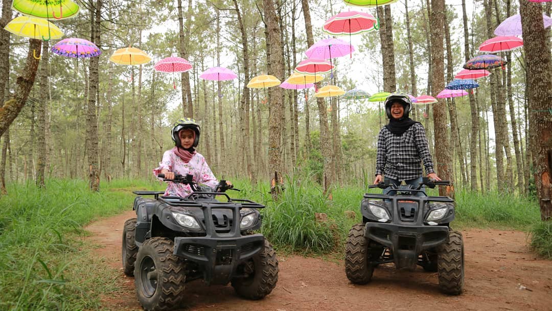 Wahana Mojosemi Forest Park Wahana Mojosemi Forest Park