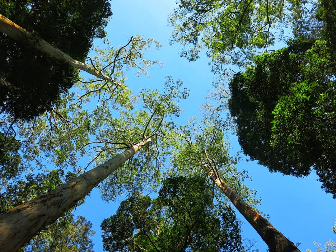 Wisata Alam Jawa Timur Wisata Alam Jawa Timur