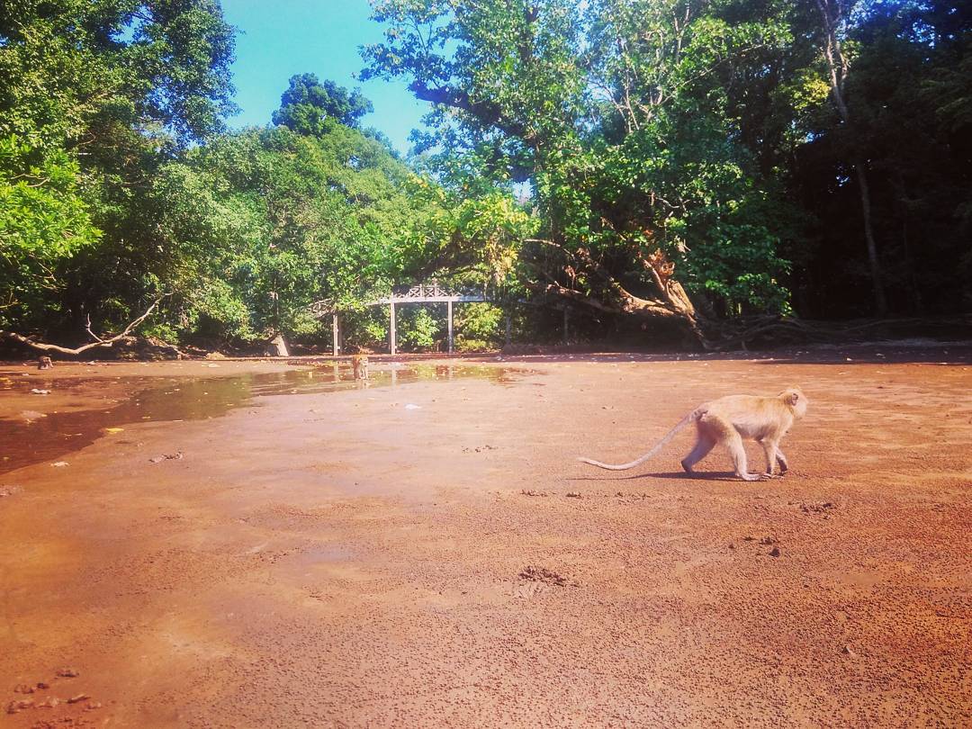 Cagar Alam Jawa Barat Cagar Alam Jawa Barat
