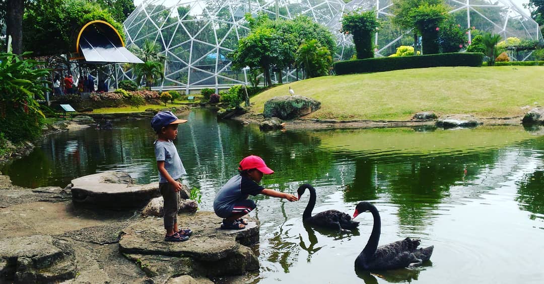 Wisata Kebun Binatang Jakarta Wisata Kebun Binatang Jakarta