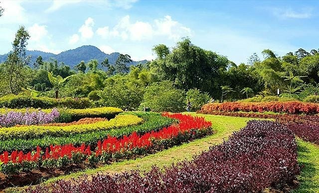 Taman Bunga Bandung Taman Bunga Bandung