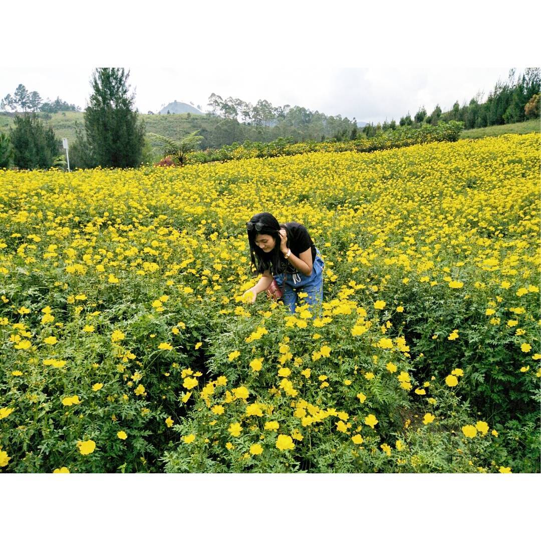 Wisata Alam Bogor Wisata Alam Bogor