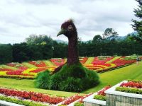 harga tiket masuk taman bunga nusantara 200x150 harga tiket masuk taman bunga nusantara 200x150