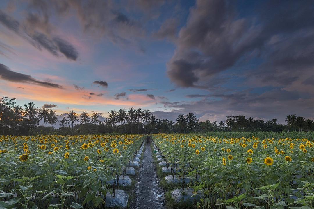 Spot Hunting Foto Di Magelang Spot Hunting Foto Di Magelang