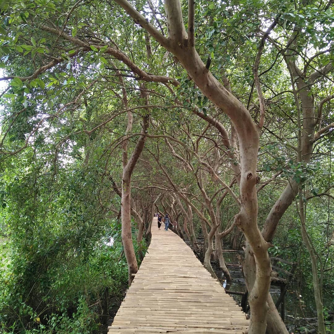 Hutan Mangrove Pantai indah Kapuk Hutan Mangrove Pantai indah Kapuk